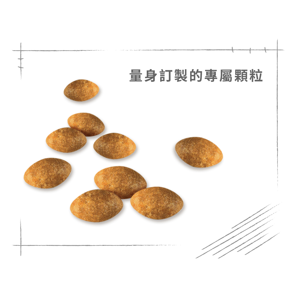 【Royal Canin法國皇家】波斯成貓P30, , large