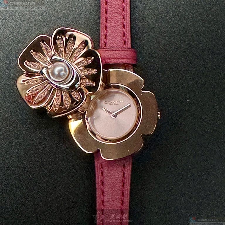 [TIMEMASTER] COACH watch, 28mm, CH00178, , large