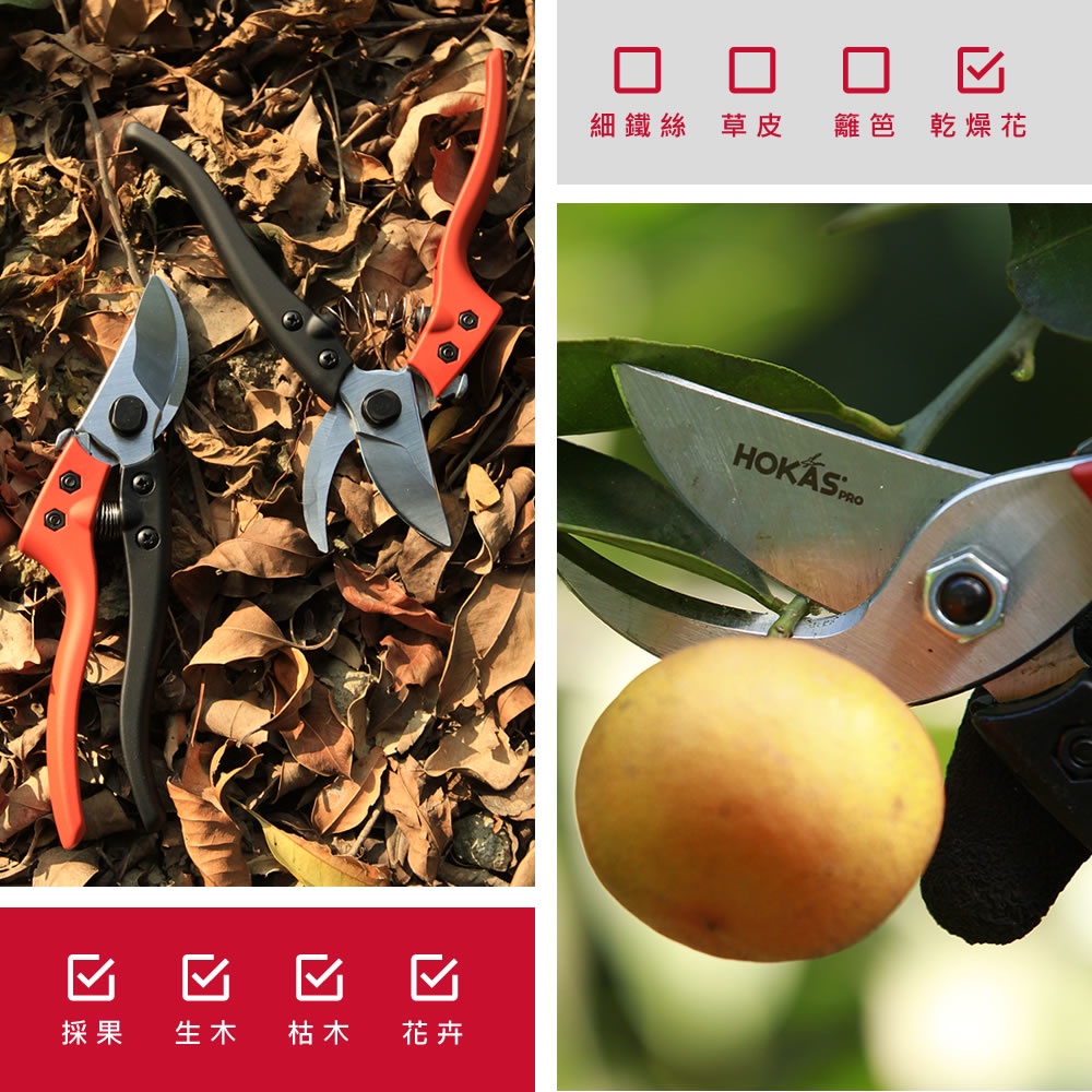【HOKAS】S841鋁柄專業修枝剪 (園藝剪刀 花剪 剪定鋏 樹枝剪刀 修枝剪刀 樹剪 果樹剪 嫁接剪 採果剪), , large