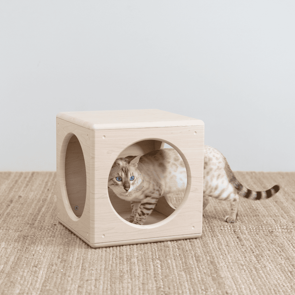 【paipaipets】Wooden Cube - Style Ａ