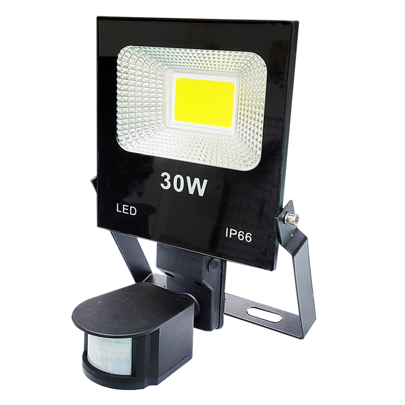 BC-830A 30W Outdoor Infrared Sensor Floodlight (White light - Made in Taiwan), 白光, large