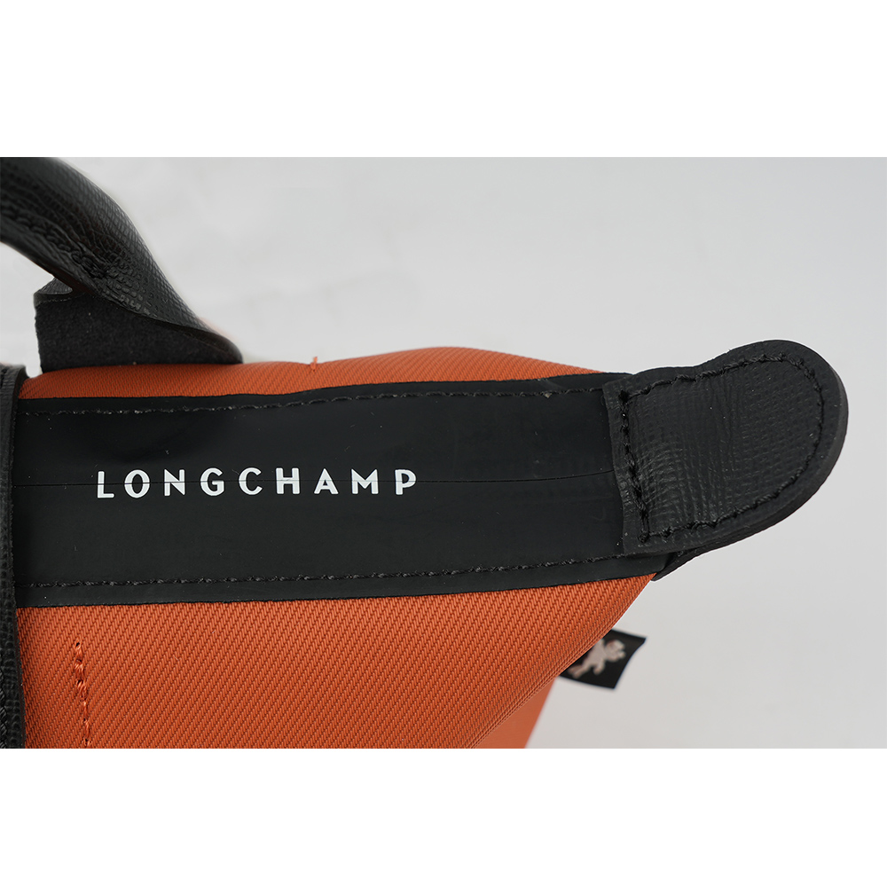 LONGCHAMP LE PLIAGE ENERGY 小手提包/赭黃色, , large