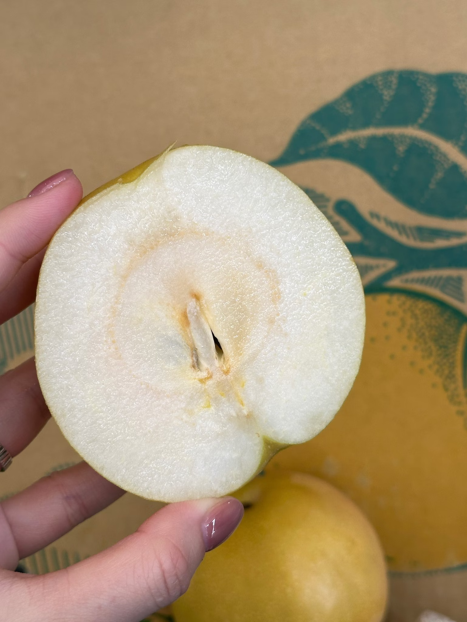 Shinseiki Pear, , large