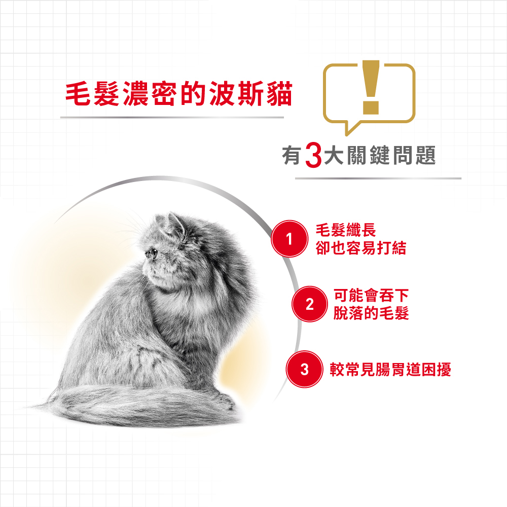 【Royal Canin法國皇家】波斯成貓P30, , large