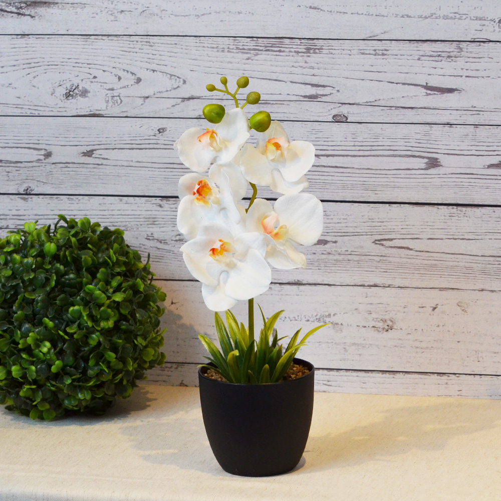 ARTIFICIAL PLANT W/BLACK POT-WHITE, , large