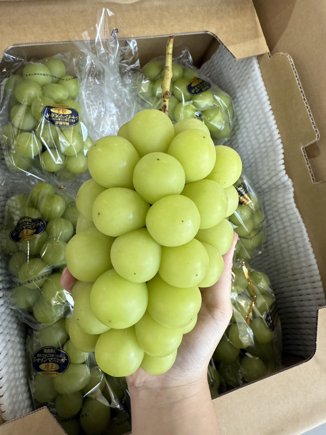 Japanese Shine Muscat Grapes, , large