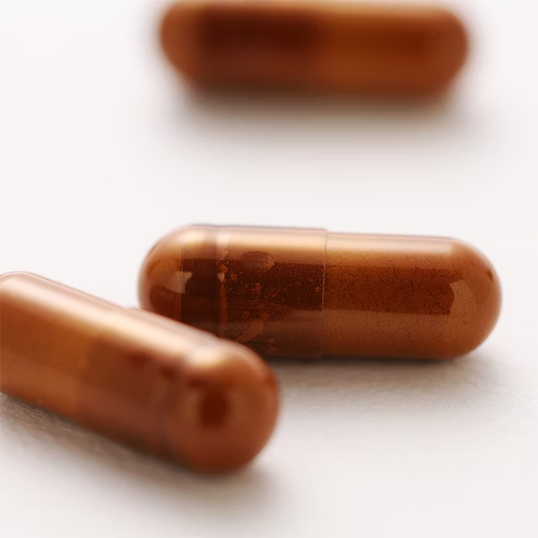 【仲安家】Antromax&reg;牛樟芝菌絲體膠囊(60顆/盒), , large