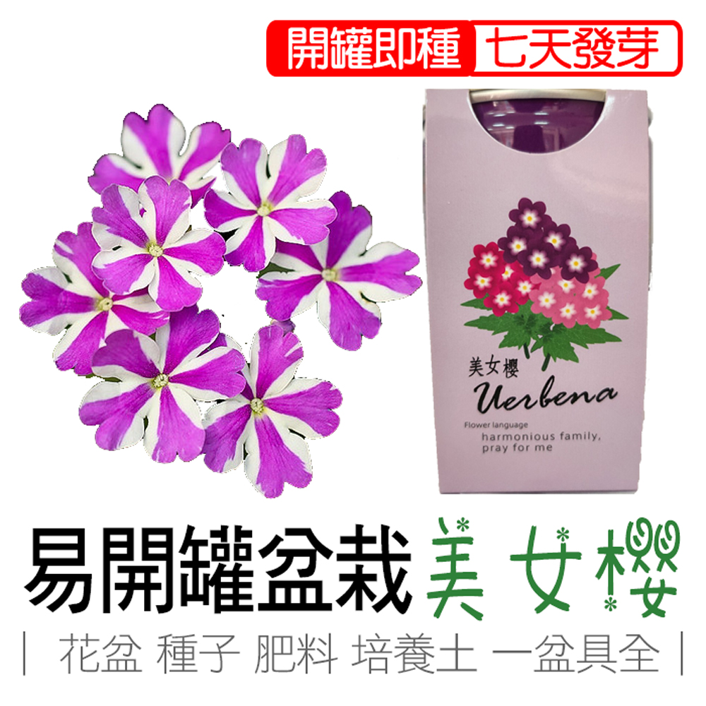 【心安購物】iPlant易開罐盆栽-美女櫻, , large