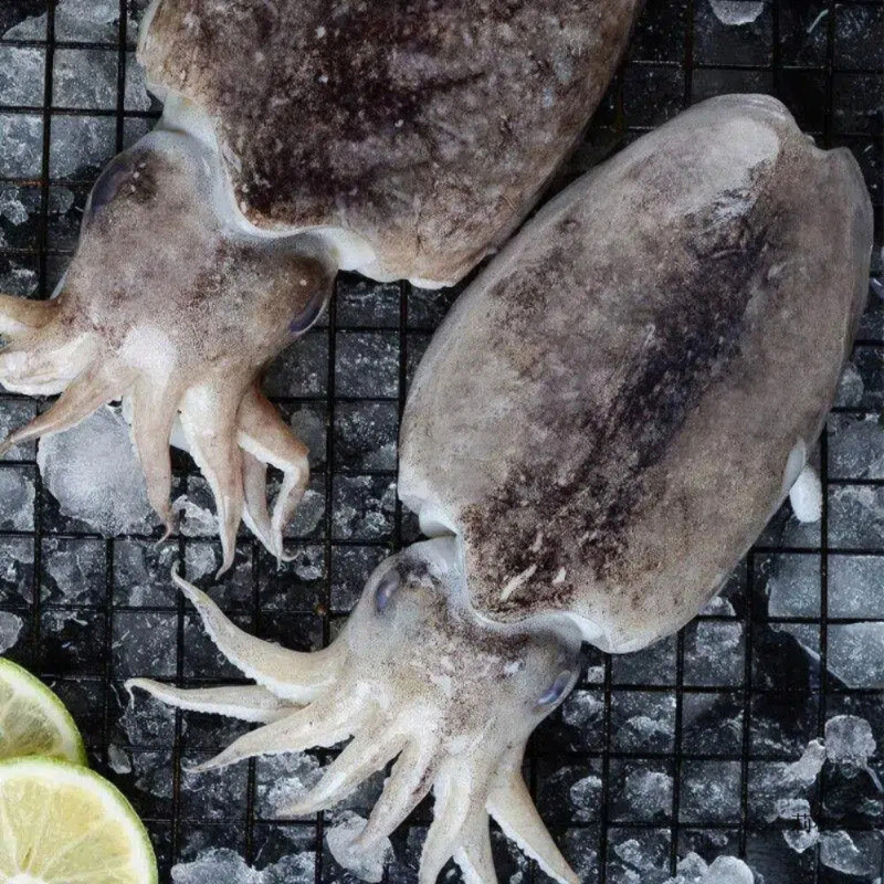 Flower branches, , large