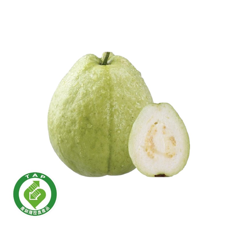 TAP Pearl Guava, , large