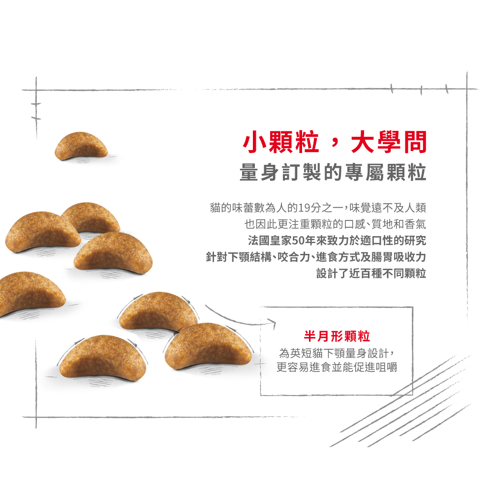 Royal Canin British Shorthair Kitten Food BSK38, , large