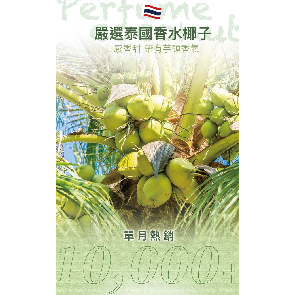 【IF】泰國100%椰子水/24入, , large