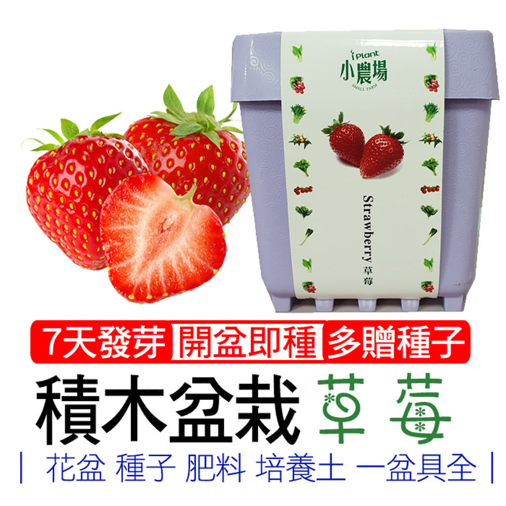 【心安購物】iPlant積木盆栽-草莓, , large