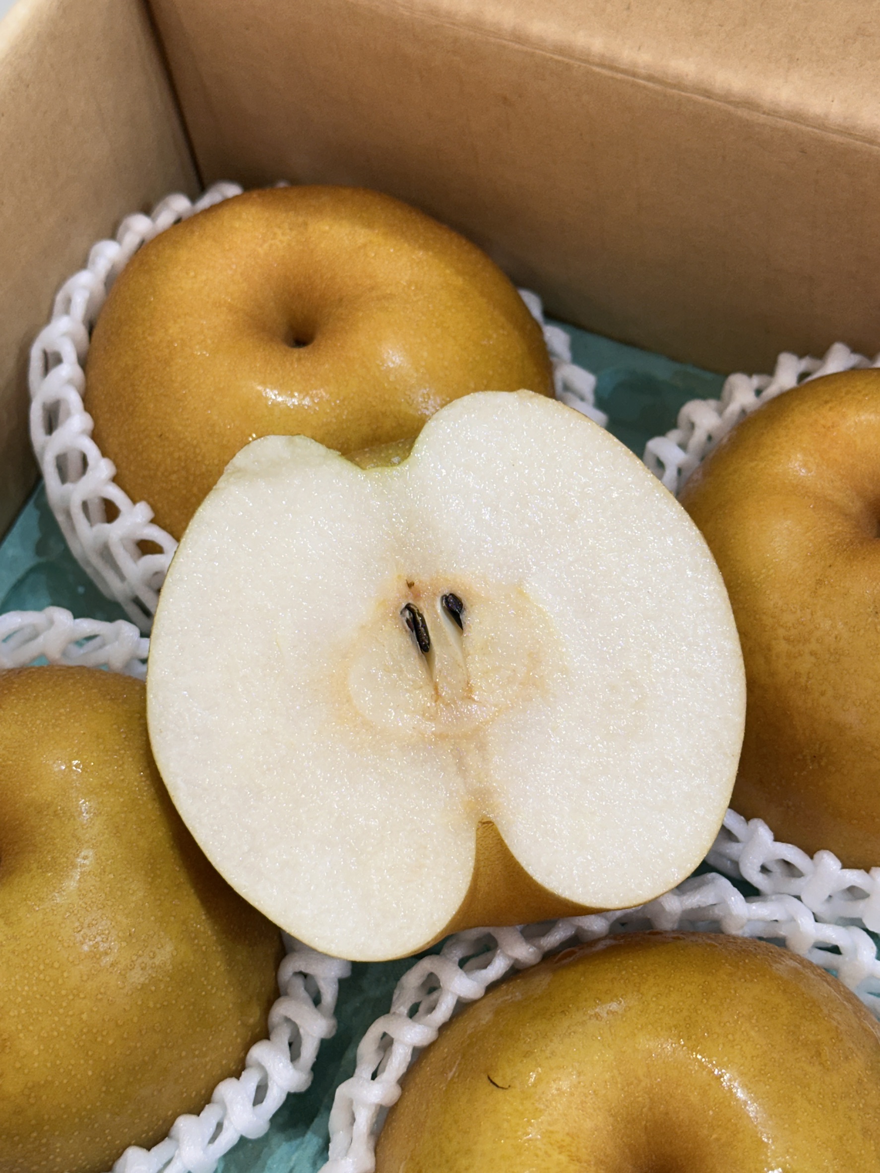 Nagano Pear (Japan), , large