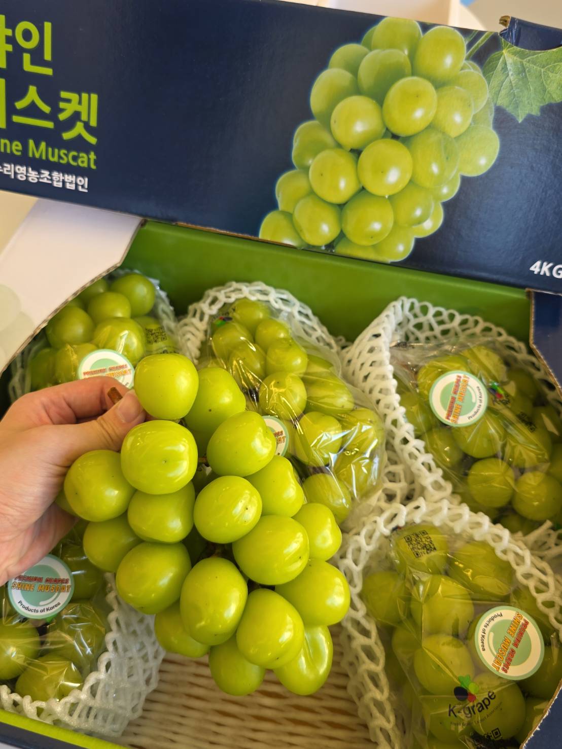  Korean Shine Muscat, , large