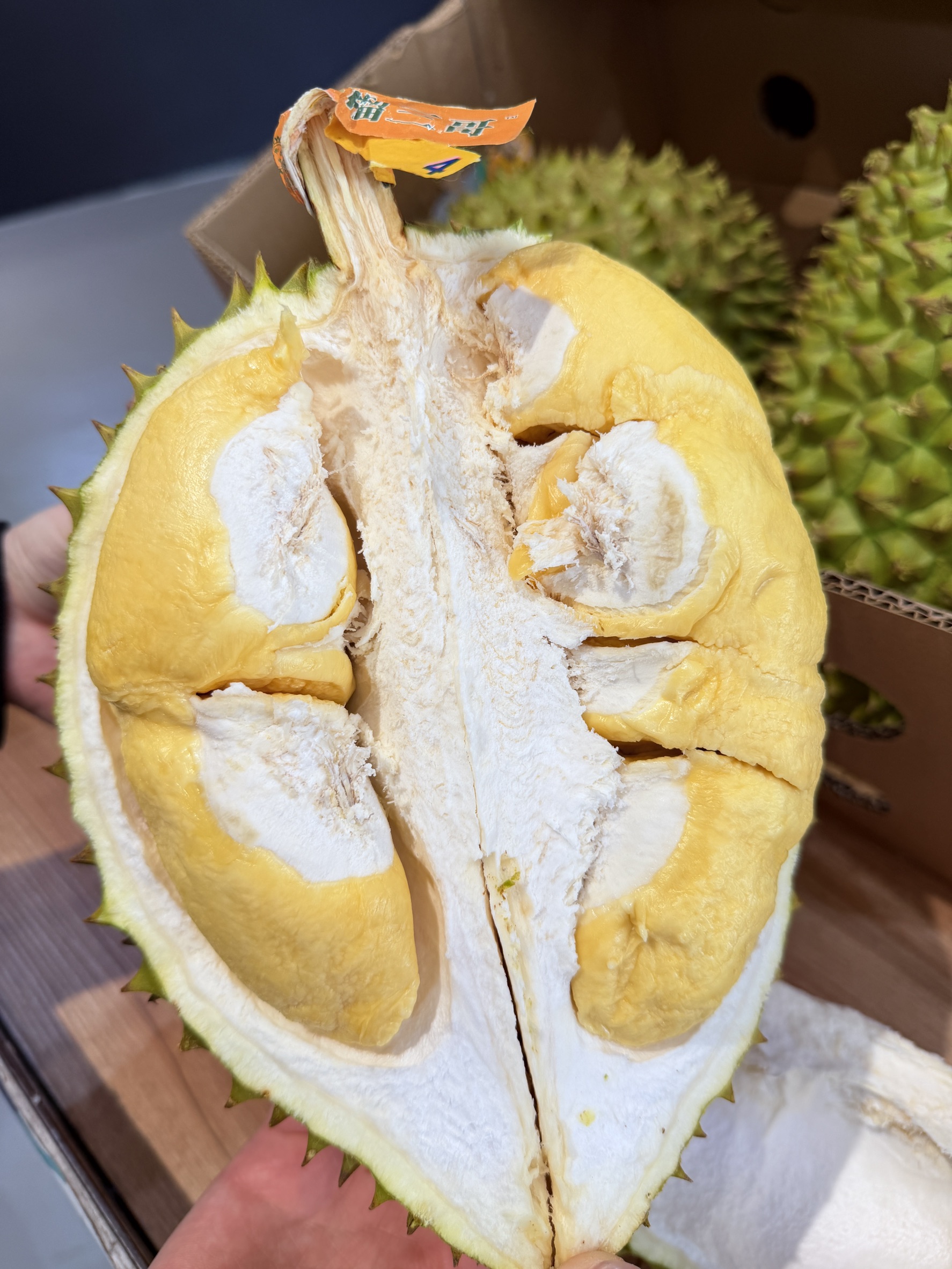Kanyao Durian, , large