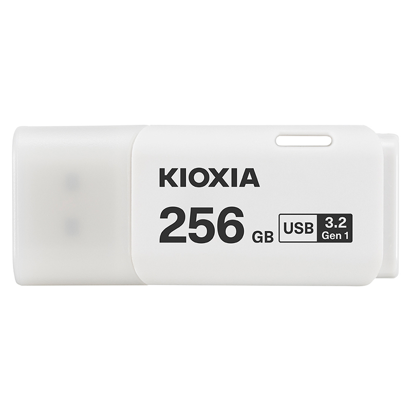 KIOXIA 鎧俠 U301 256GB