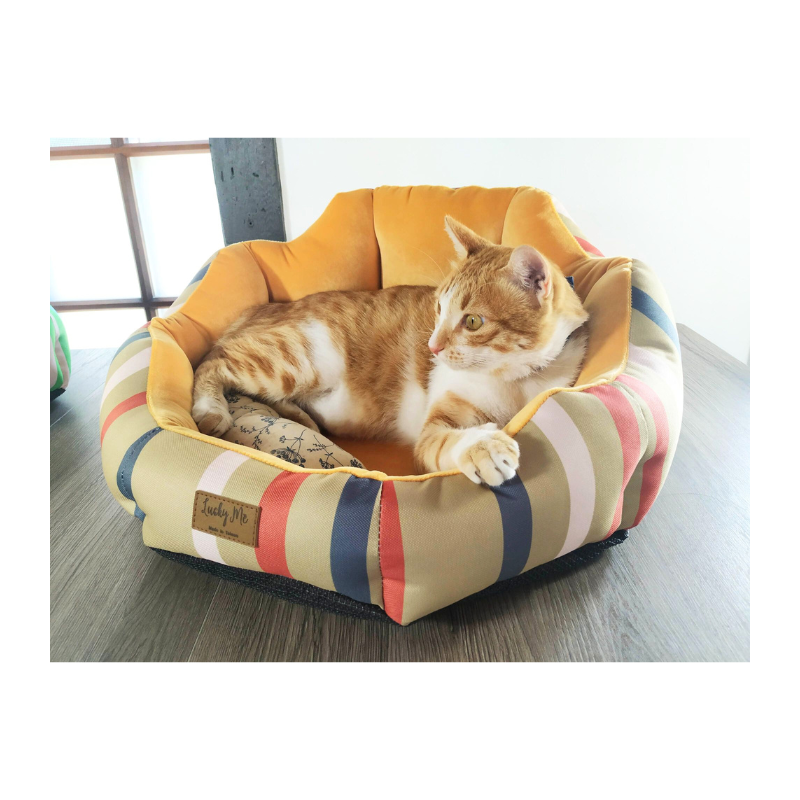 Lucky Me for pet, , large