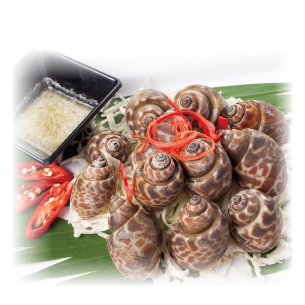 Premium Live-Frozen Sea Snails (Babylonia), , large
