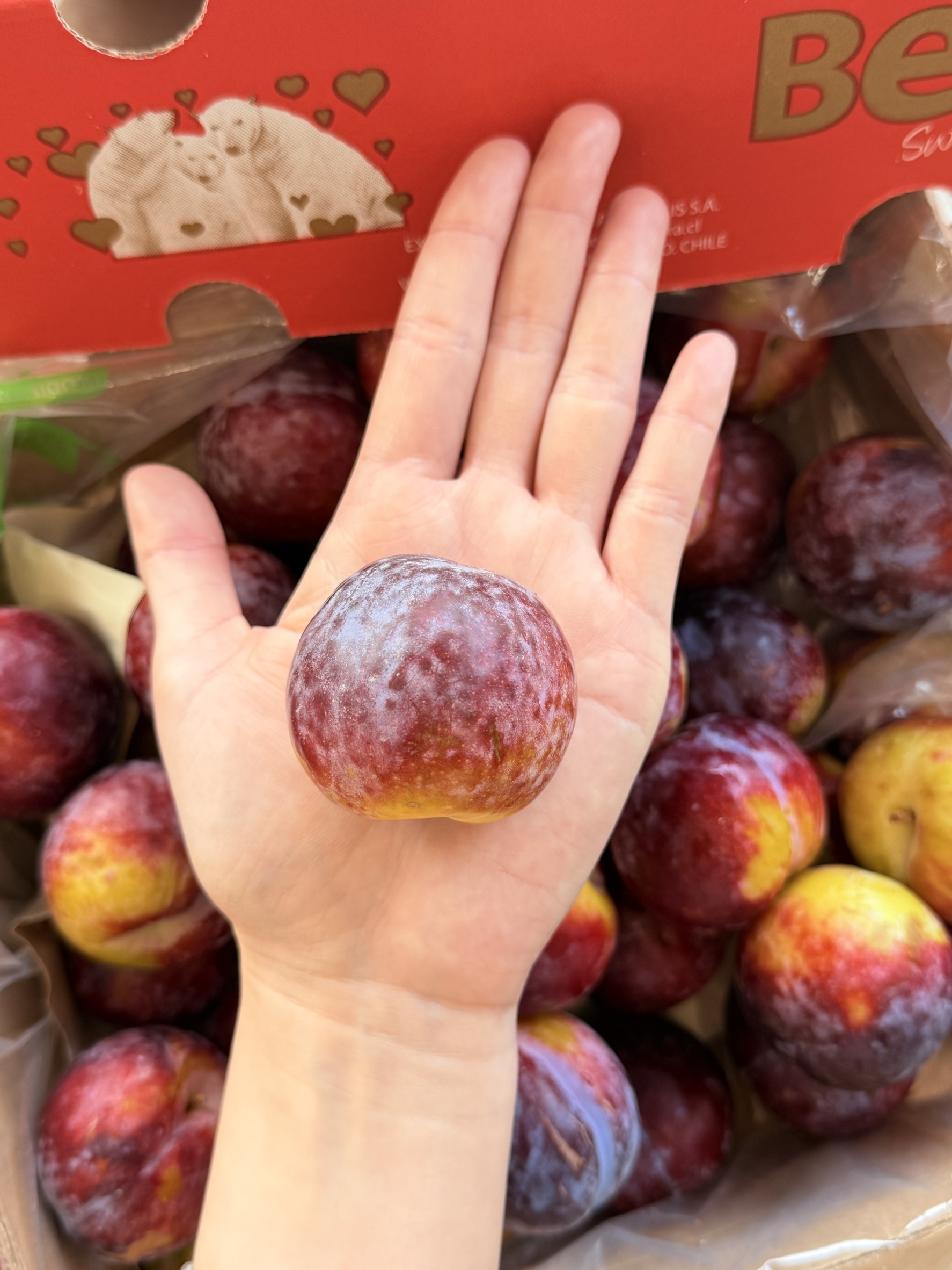 [芯鮮果]智利蘋果李, , large