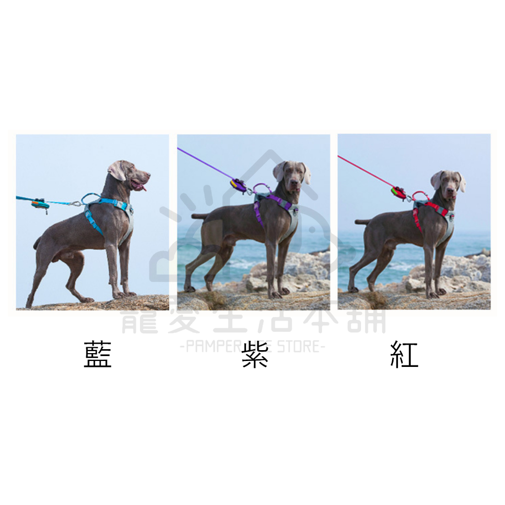 【寵愛生活本舖】中大型犬防爆衝胸背帶 寵物胸背帶 大型犬專用 背心式胸背帶, , large