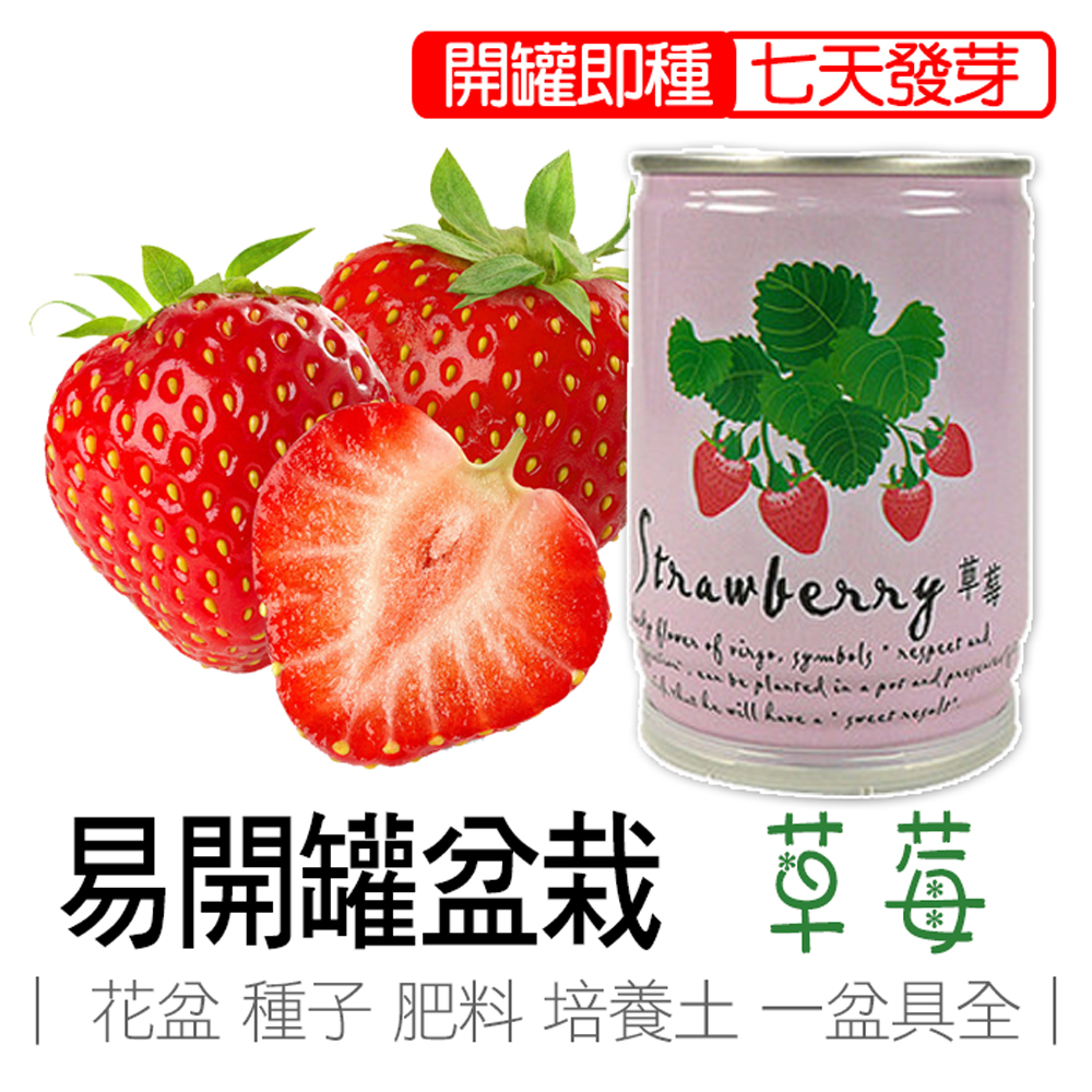 【心安購物】iPlant易開罐盆栽-草莓, , large