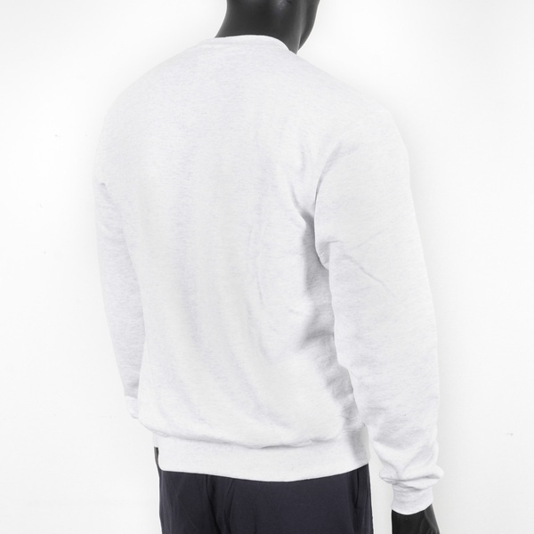 Champion 男 長袖上衣 大學T 美規 高磅數 運動 休閒 內刷毛 保暖 舒適 穿搭 淺灰 [S600-93H], , large