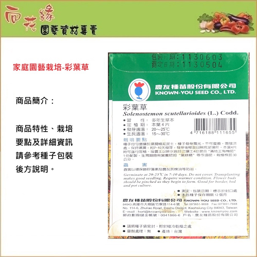 【向花緣】農友 彩葉草 - 花卉種子, , large