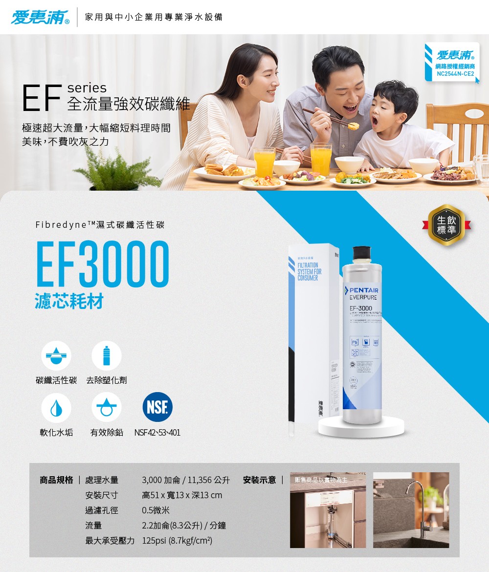 【愛惠浦】EF3000碳纖活性碳濾芯(DIY更換), , large