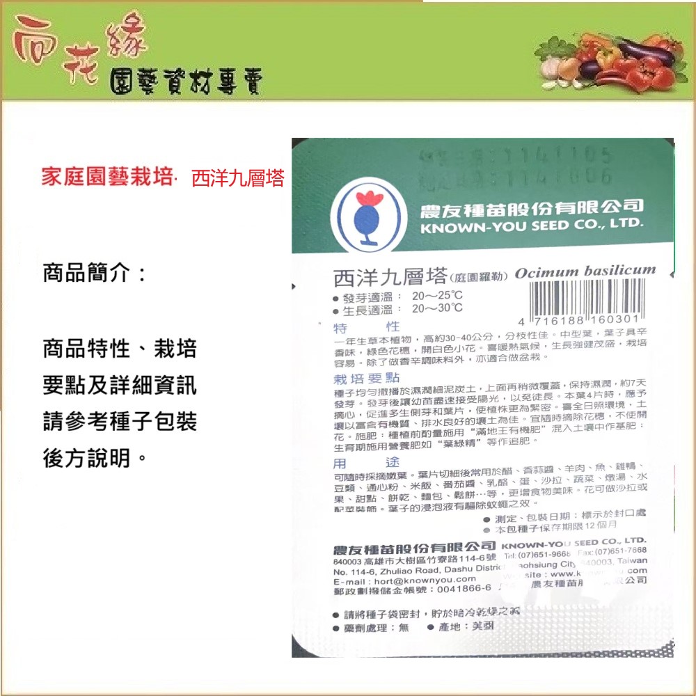 【向花緣】農友 西洋九層塔 - 香藥草種子, , large