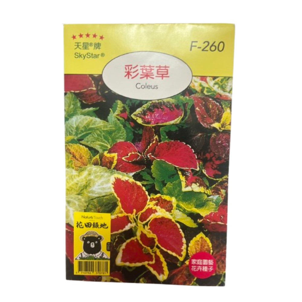 【向花緣】天星牌 彩葉草 - 花卉種子, , large