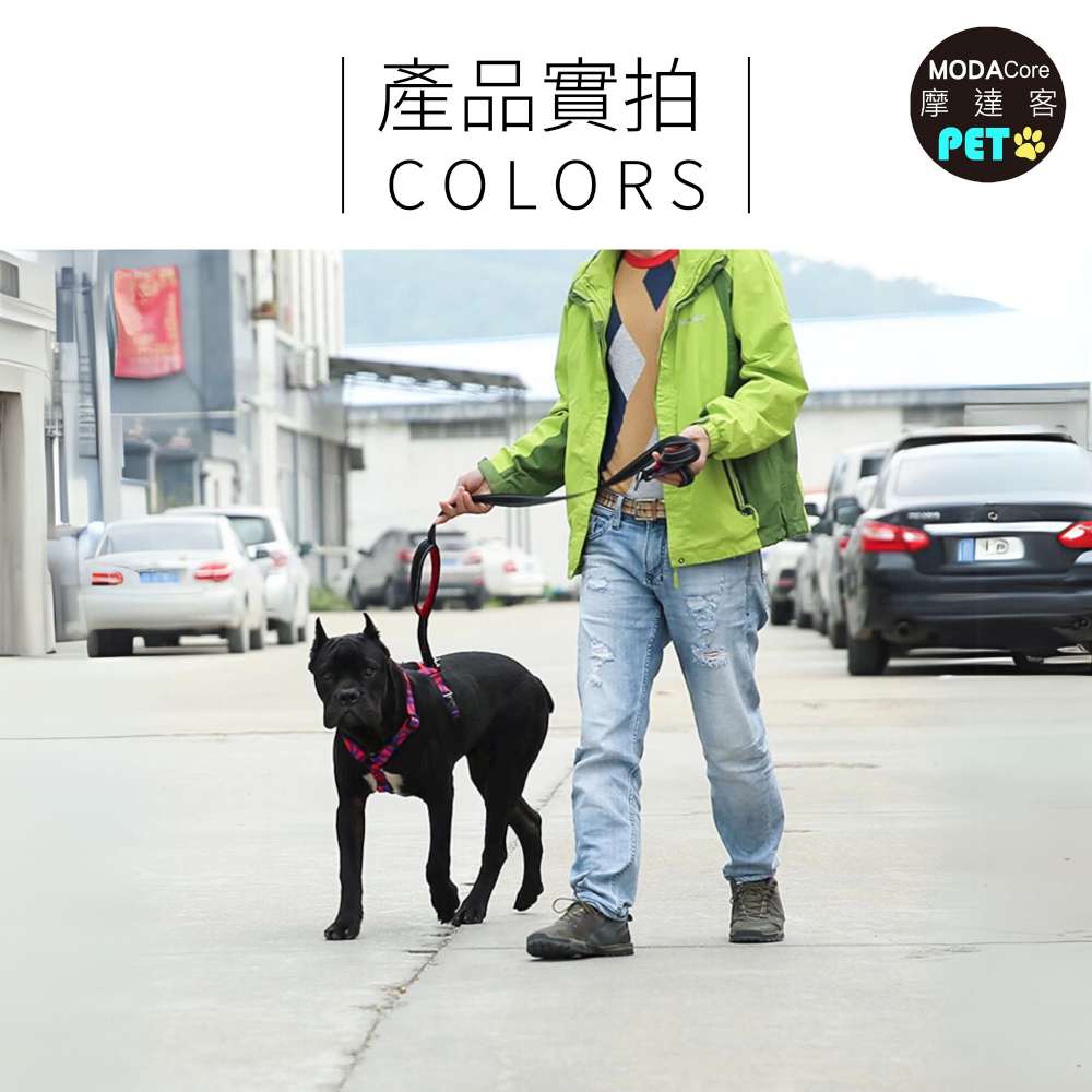 PET Harness, , large