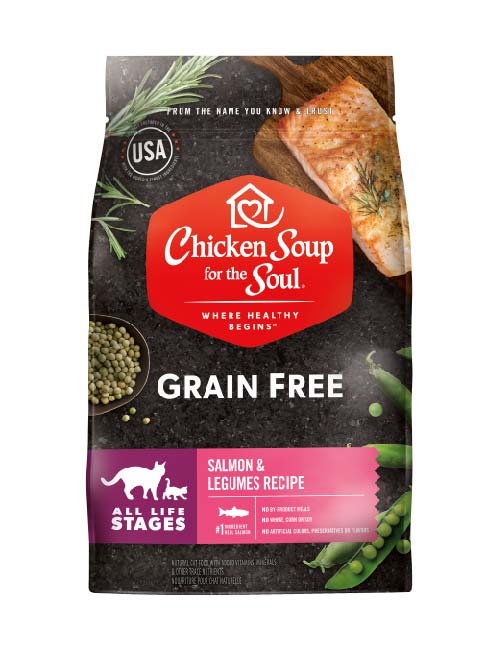 chicken soup, , large