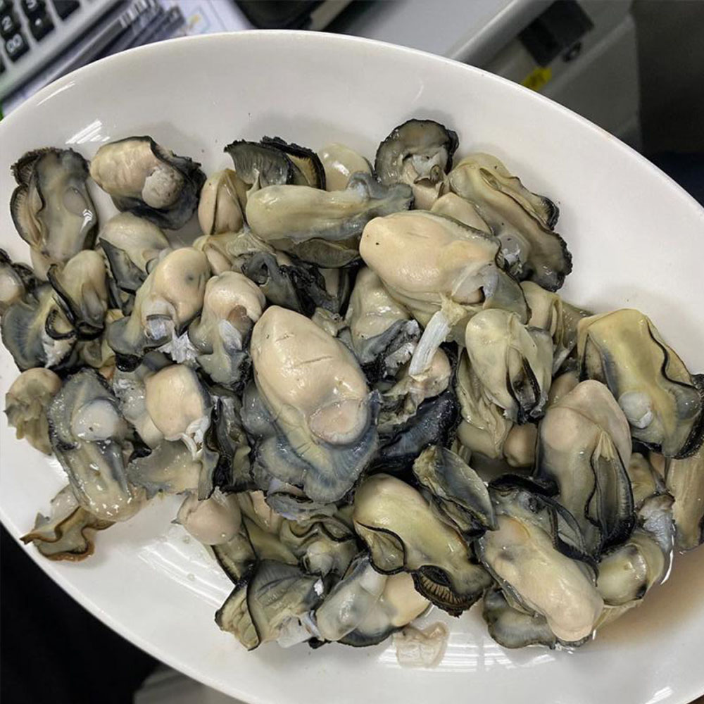 Penghu oysters, , large