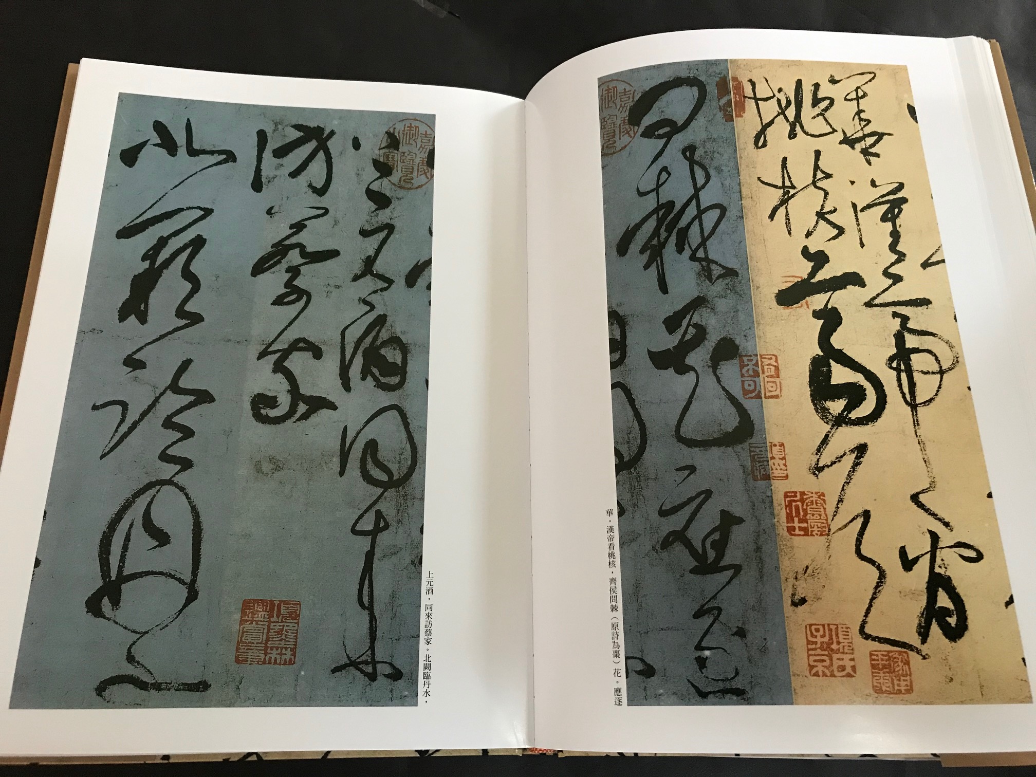 《南門書局》草書經典賞析１巨冊, , large