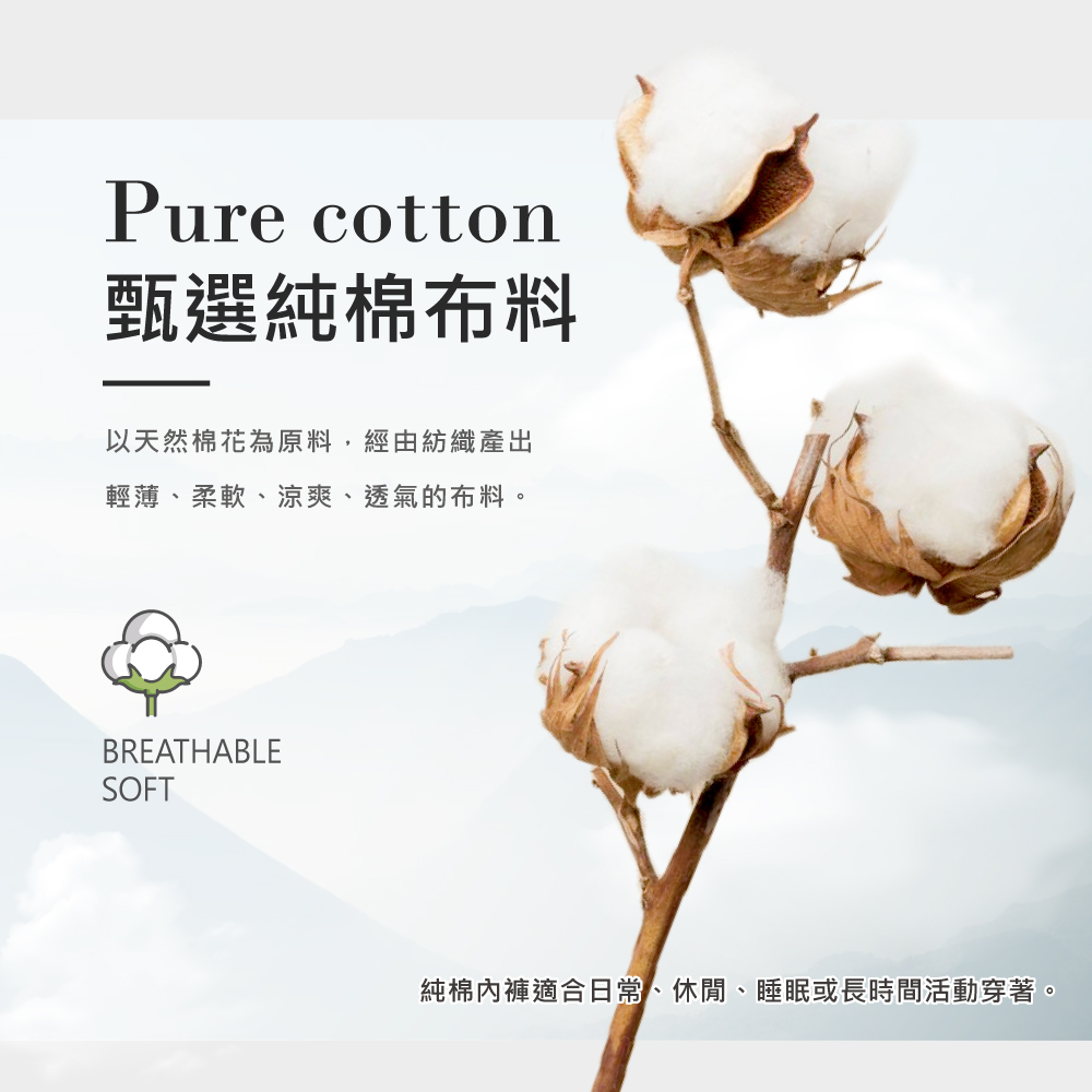 【伊柔EVEROY】舒適純棉低腰加高防漏生理內褲 M-2XL/Q內褲 9820-41膚, 膚色, large