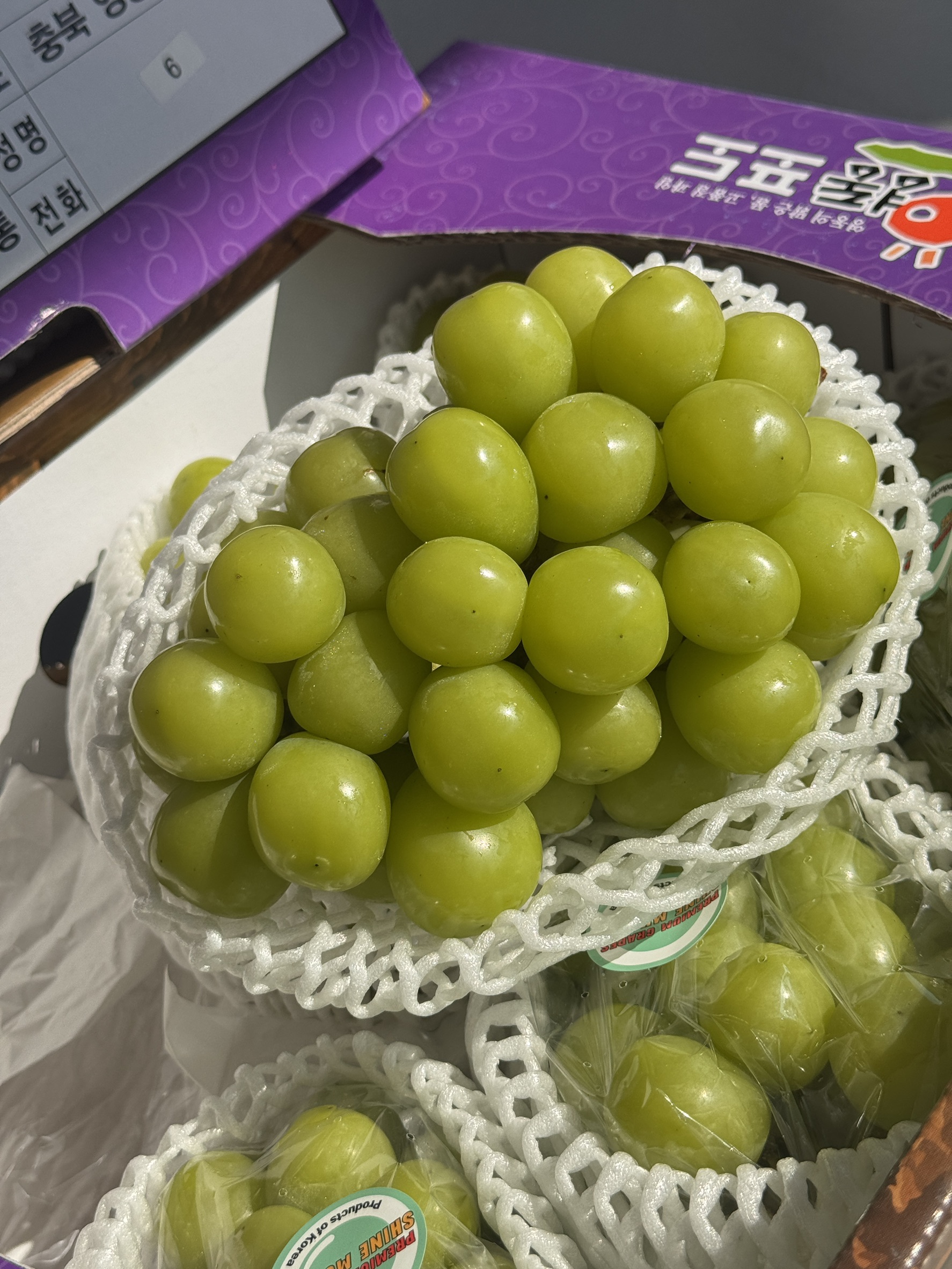  Korean Shine Muscat, , large