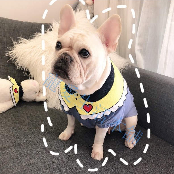 【寵愛生活本舖】-鈕扣款-INS款火紅寵物口水巾 狗圍脖 貓圍脖 寵物領巾, , large