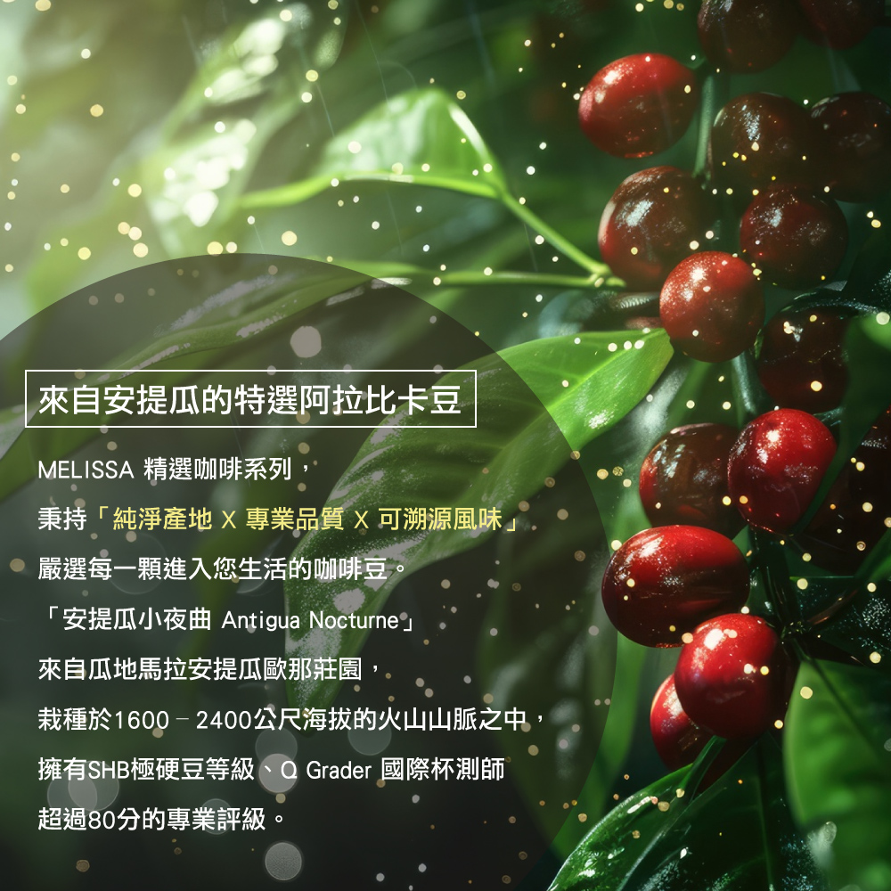 【Melissa】安提瓜特選阿拉比卡 100%純研磨咖啡豆, , large