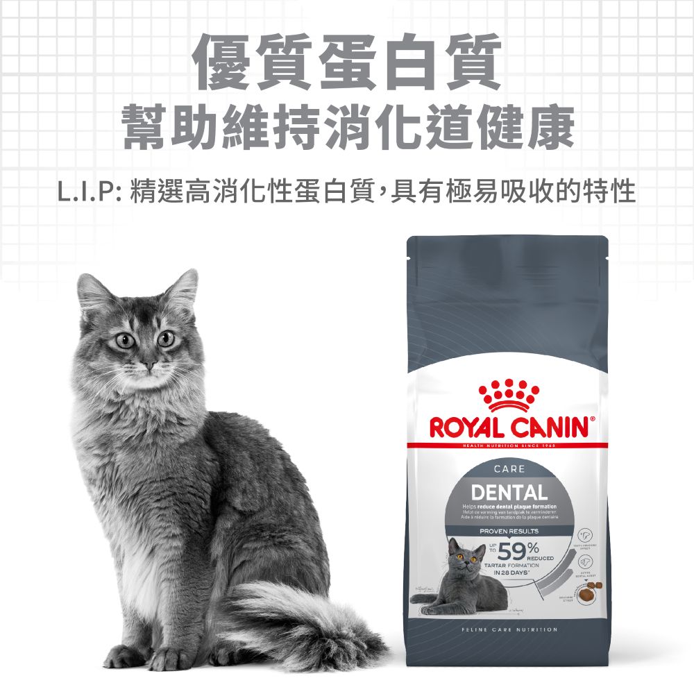 【拉拉寵物小舖】法國皇家 貓飼料 O30 潔牙保健成貓專用乾糧 3公斤, , large