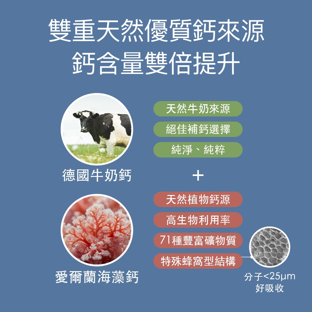 【FJ豐傑生醫】海藻鈣+海洋鎂PLUS(60顆/袋)-雙重優質鈣+法國天然海洋鎂+維生素D維持血鈣平衡, , large