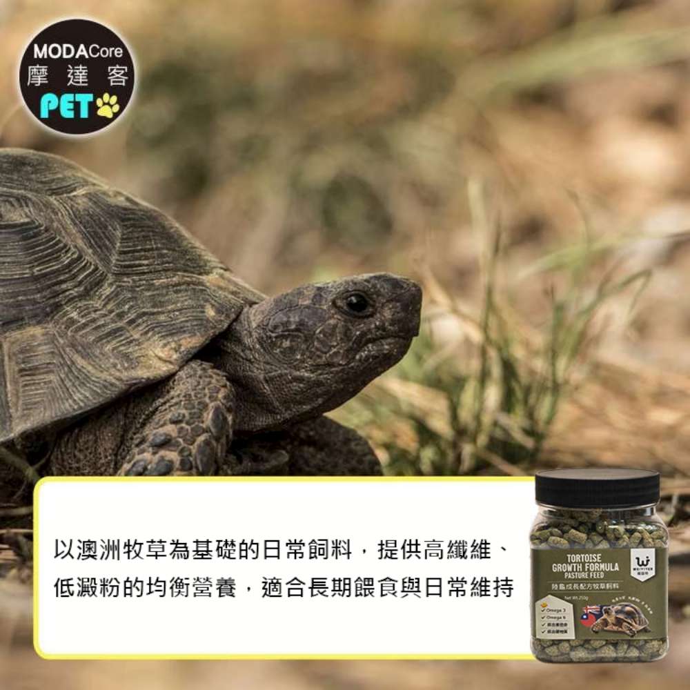 Pet supplies, , large