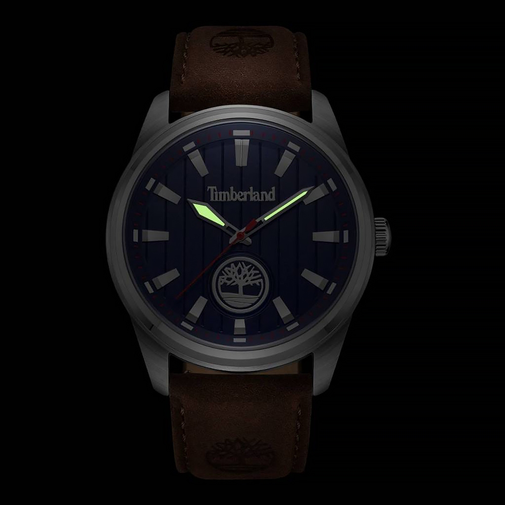 Timberland 天柏嵐 NORTHBRIDGE系列 條紋經典三針腕錶 手錶-藍 TDWGA0010203, , large
