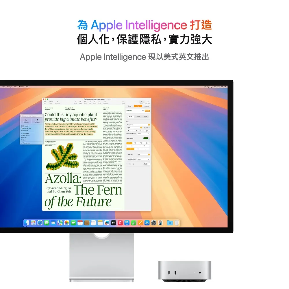 Apple Mac mini M4 10核心 CPU 10核心 GPU 16G/256G SSD / Gigabit 乙太網路 (MU9D3TA/A)_ 台灣公司貨, , large