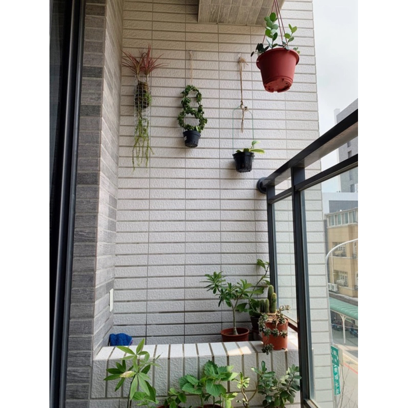 [Beargood sticker] Large Oval Adhesive Hook, , large