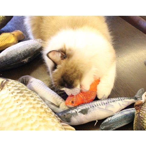 【寵愛生活本舖】送貓草！仿真絨毛貓薄荷玩具魚 貓咪玩具 貓草包 貓草玩具 寵物絨毛玩具 魚玩具 抱枕 逗貓 鯽魚 可拆洗, , large