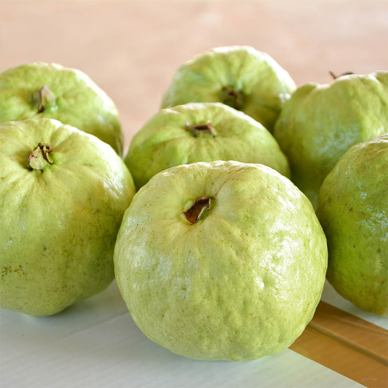 【17Buy】Organic Guava, , large
