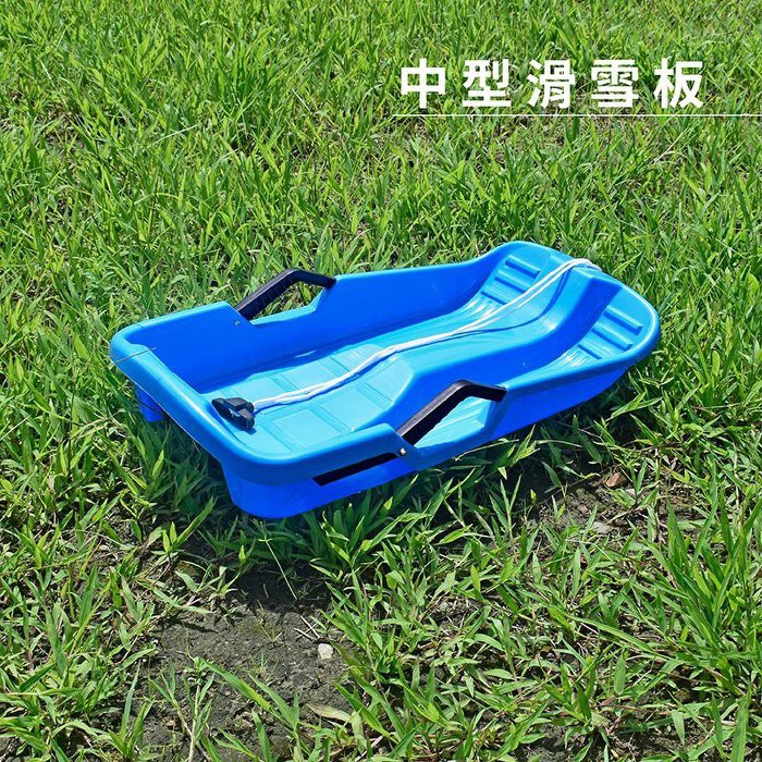 【Treewalker 萊茂】飛翼可剎車滑草雪橇板 (顏色隨機), , large