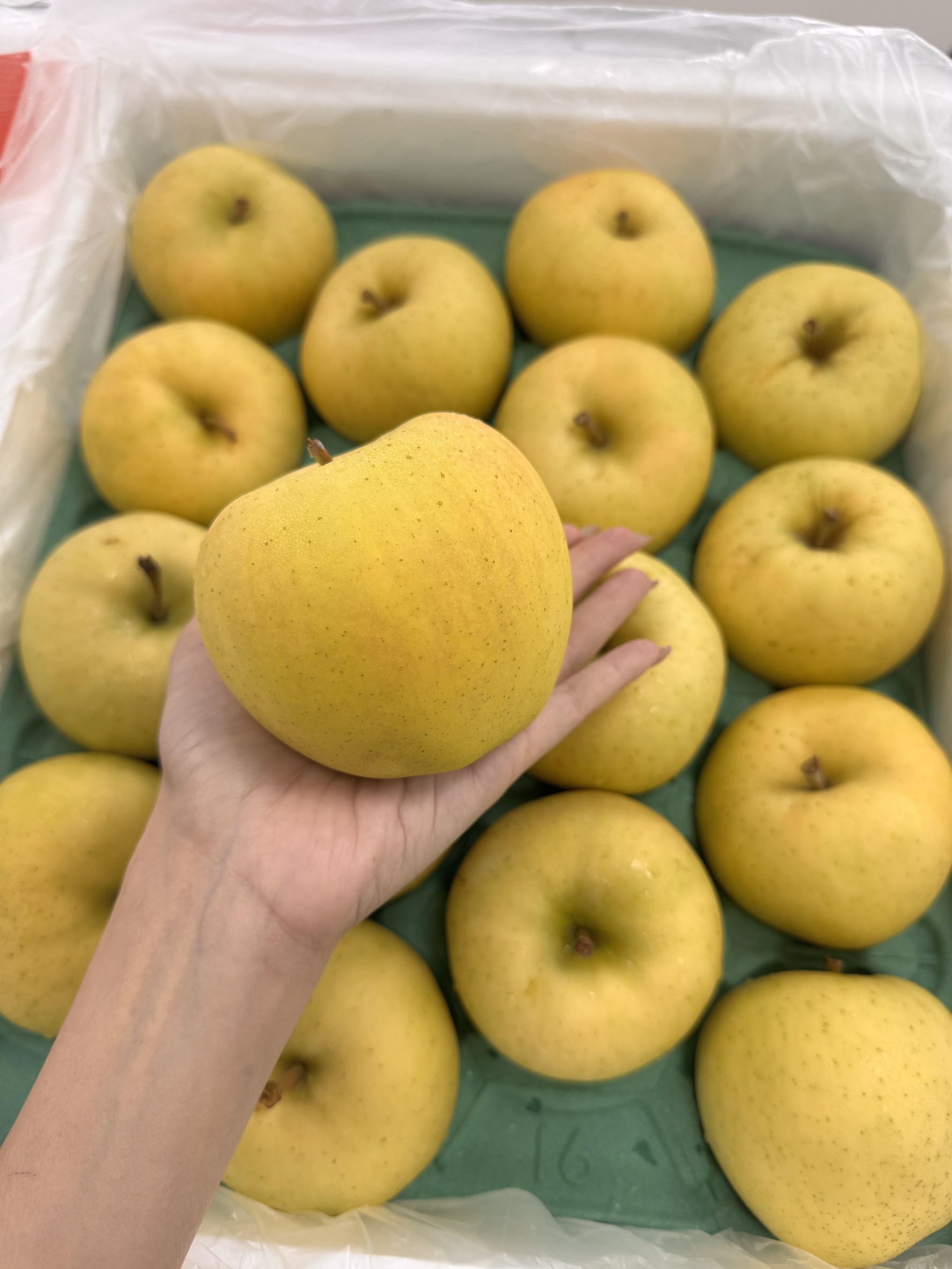Japanese Toki Apple, , large