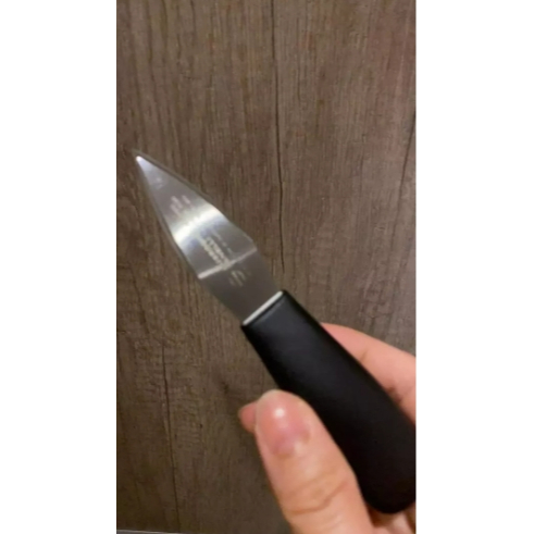 蓋瑞廚物【SANELLI 義大利製 淡菜刀 質感超好 超好用 不易鈍 】牡蠣刀 蚵仔刀 蛤刀 蛤仔刀 蚵仔 剝生蠔 蚵刀, , large